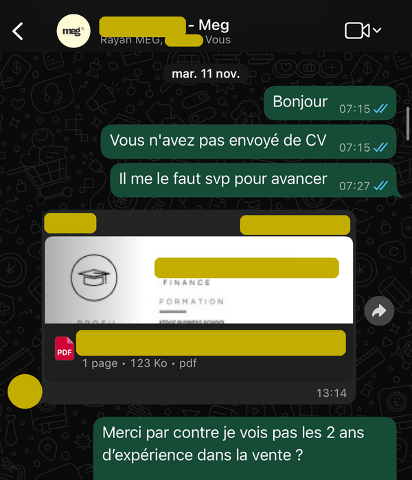 Le blocage CV : profil finance, exigence vente